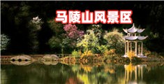 我要操骚逼逼网